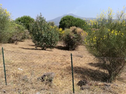 Mascalucia,  IT