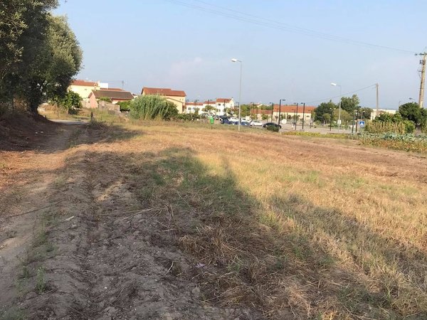Carapinheira,  PT