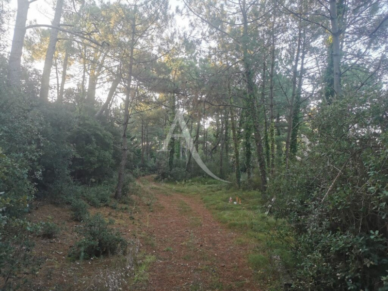 à Saint-Jean-de-Monts (85160)