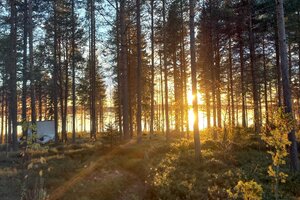 Lomapellontie, Kallaanvaara, Kemijärvi