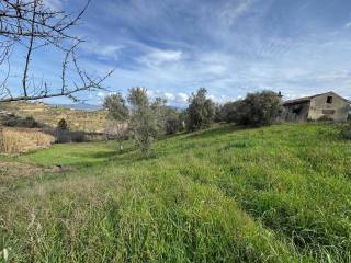 Cosenza,  IT