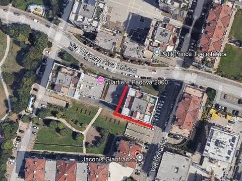 Padua,  IT