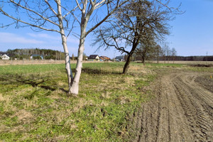 Nekla