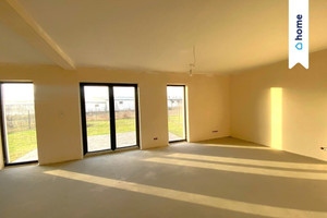 Święta Katarzyna
