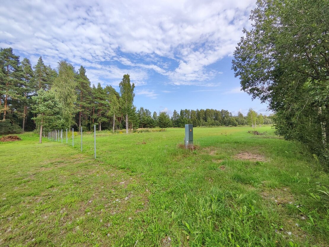 Kandava