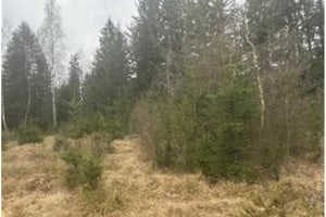 Nowa Wieś