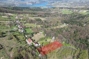 Zalesie