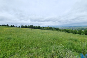 Mogilno