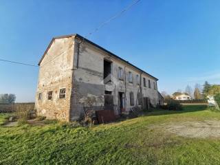 Cotignola,  IT