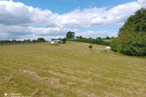Trzcińsko-Zdrój
