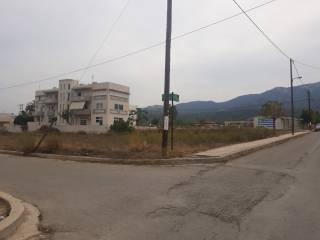 Kos,  GR
