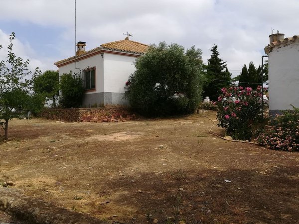 Mairena del Alcor,  ES