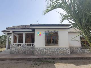 Albox,  ES
