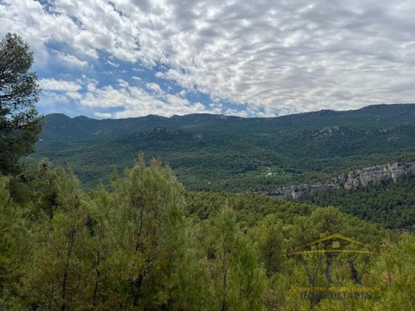 Moratalla,  ES