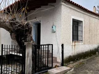 Amfikleia,  GR