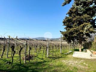 Caprino Veronese,  IT