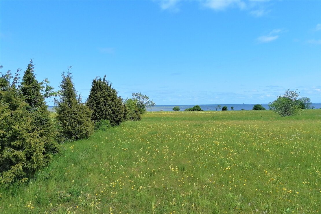 Kuivastu küla, Muhu vald, Saare maakond