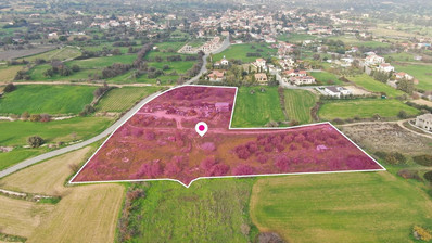 Anogyra, Limassol