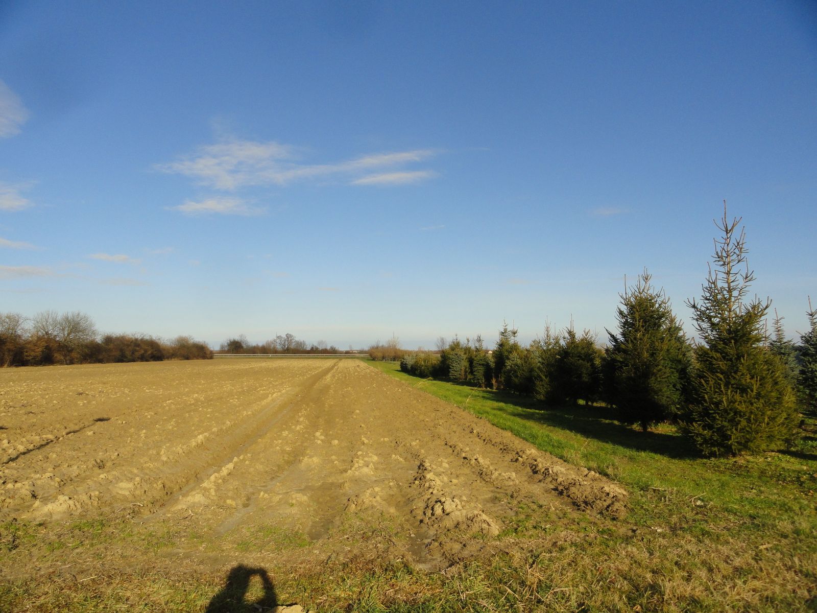 Slatina, Slatina center