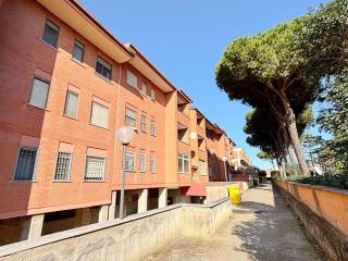 Ladispoli,  IT