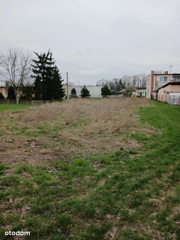 ul. Paprotna, Rajsków, Kalisz, wielkopolskie