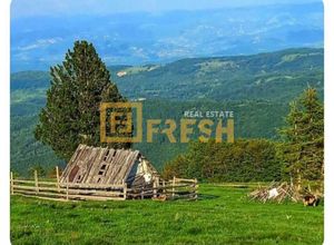Northern Region, Berane