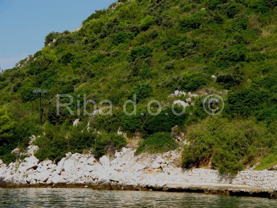 Zadar, Sali
