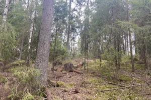 Tiilääntie, Kairaisrinne, Askola