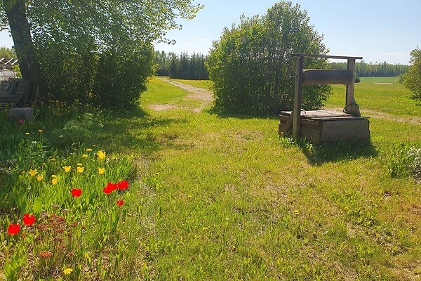 farmhouse for sale - Runno, Reolasoo, Kambja vald, Tartumaa