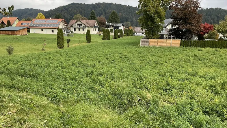 8455 Oberhaag