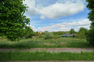 Leśna