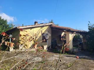 Velletri,  IT