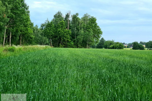 Dalików
