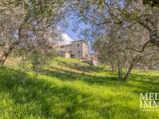 Viterbo,  IT