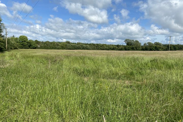 Ballygraigue, Nenagh, Co. Tipperary
