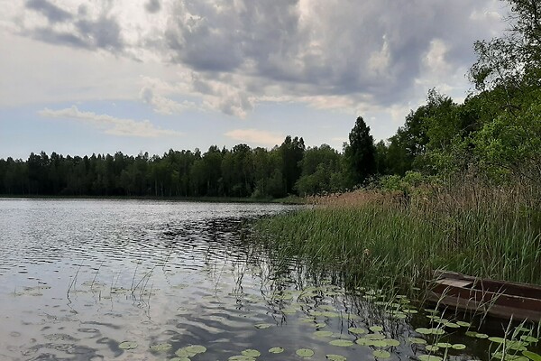 plot for sale, land-profit land - Kolga, Nõo vald, Tartumaa