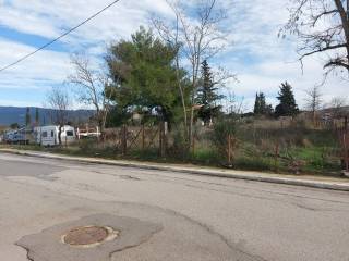 Amfikleia,  GR