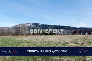 Lipnik