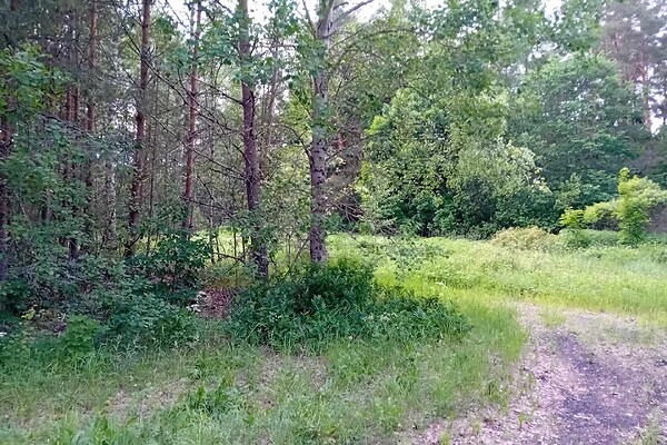 plot for sale, manufacturing land - Liivaaugu tn 5a, Alatskivi, Peipsiääre vald, Tartumaa