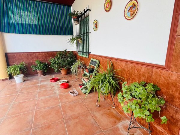 Montilla,  ES
