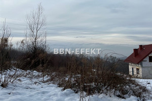 Lipnik