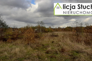 Jodłowa