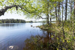 Ojajärventie, Hämeenlinna