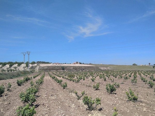 Jumilla,  ES