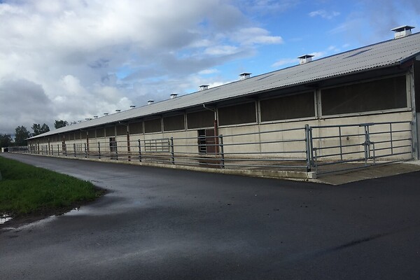 commercial premises for sale, industry, 7456 m² - Põllu, Kehtna vald, Raplamaa