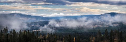 Birkenåsen H9-5 | Frueskoveien 10, Rena