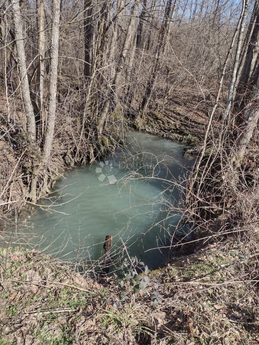 Sisak-Moslavina, Gvozd