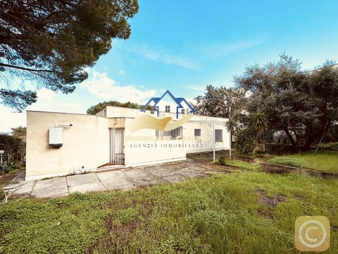 Altavilla Milicia,  IT