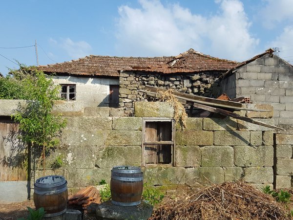 Cinfães,  PT