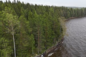 Listoniementie, Pyyrinlahti, Äänekoski
